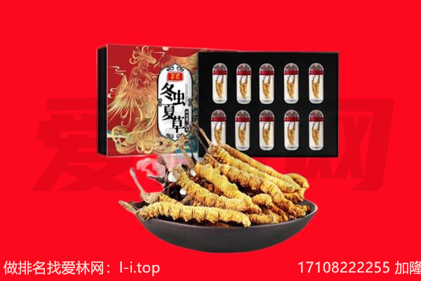 宁德寿宁县回收虫草.jpg